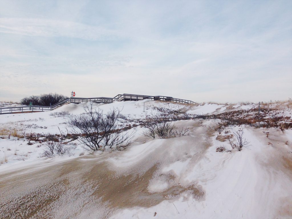 Sand dunes covered in snow