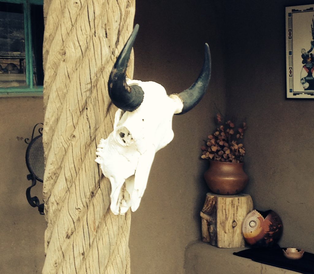 Cow skull found in the Taos Pueblo