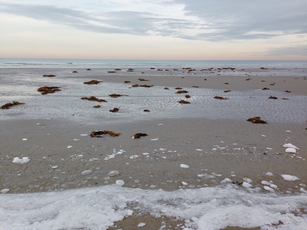 Snowy beach sunset