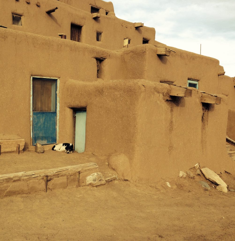 Sleeping dog by desert pueblos