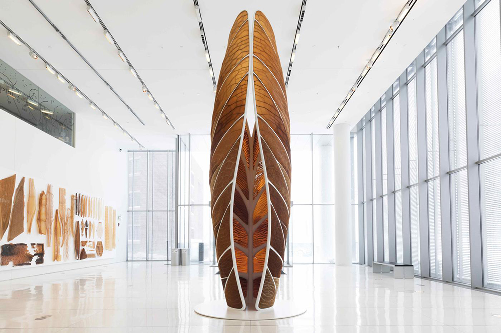 Aguahoja I Project By Oxman and MIT Mediated Matter Lab