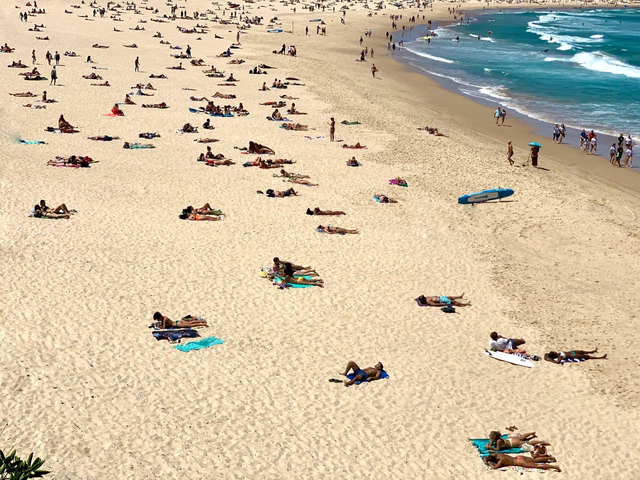 Bondi Beach and the bathers.