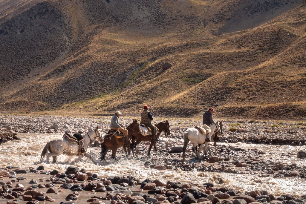 Crossing a river on the Piuquenes Pass trail in the Andes Mountains