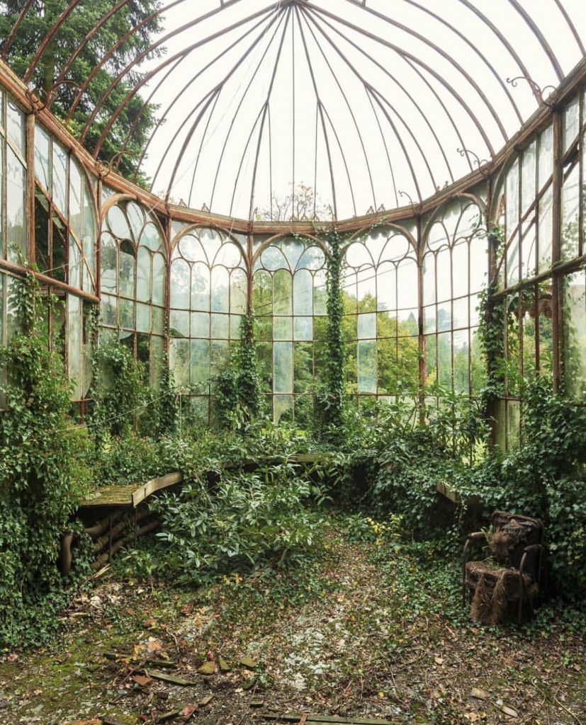 À rebours by Nicola Bertellotti. Nature overrunning a room filled made of windows.
