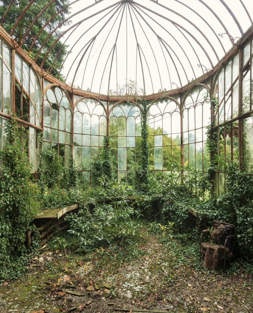 À rebours by Nicola Bertellotti. Nature overrunning a room filled made of windows. 