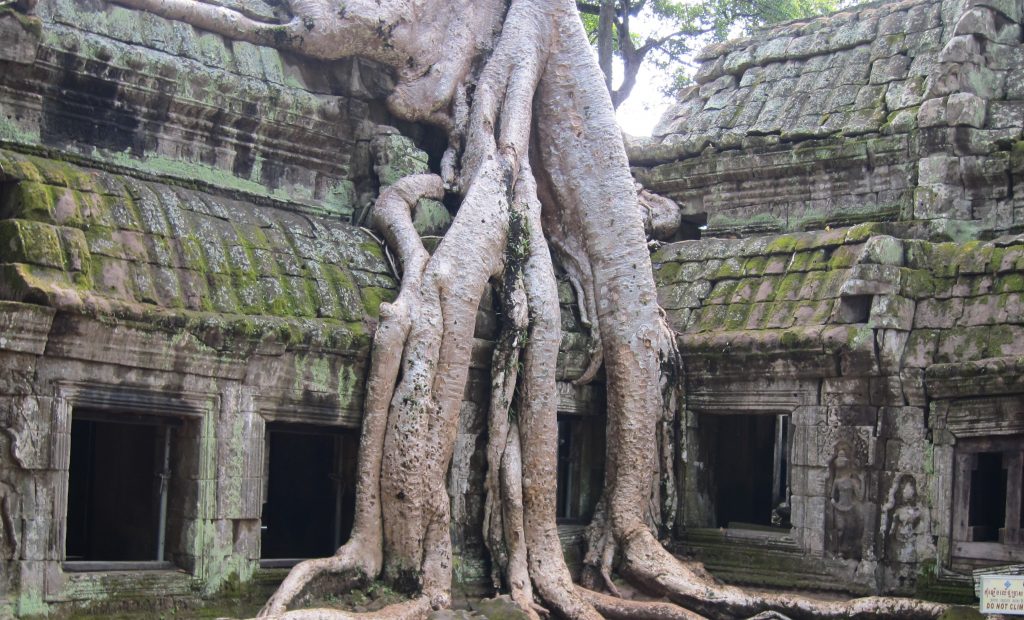 Ta Prohm Temple Cambodia