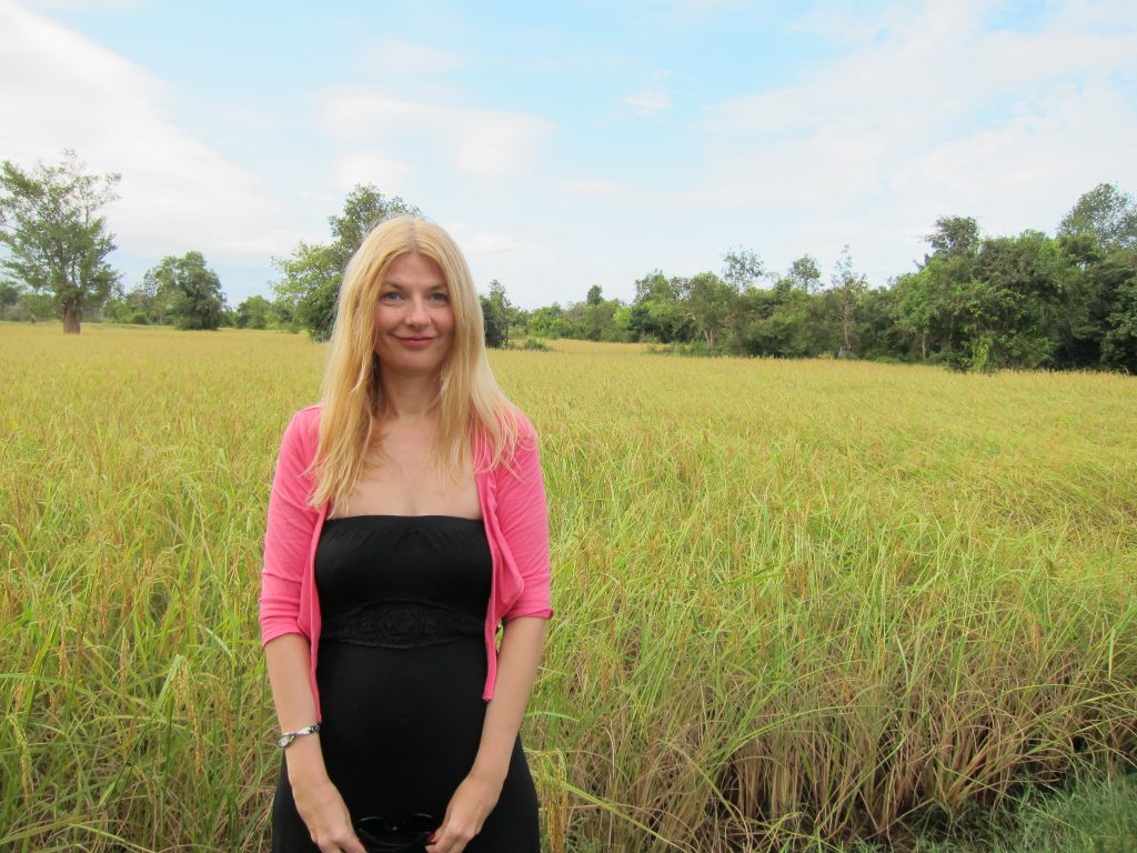 Rice Fields in Cambodia