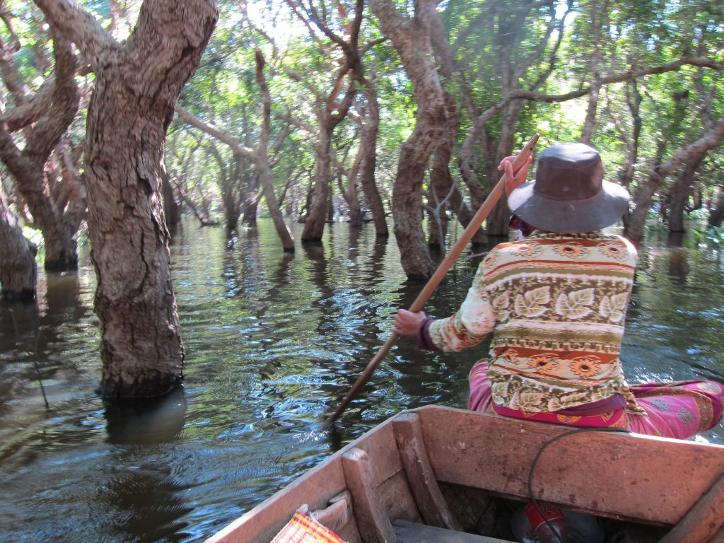 Floating Forest Tonle Sap Lake 