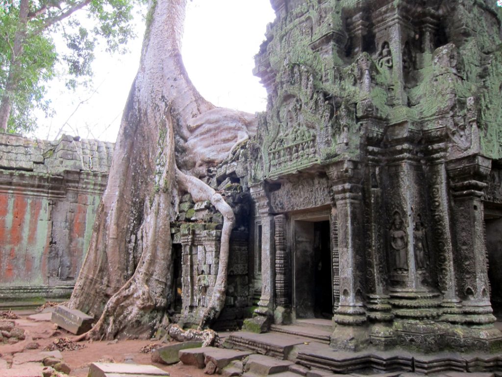 Ta Prohm Siem Reap