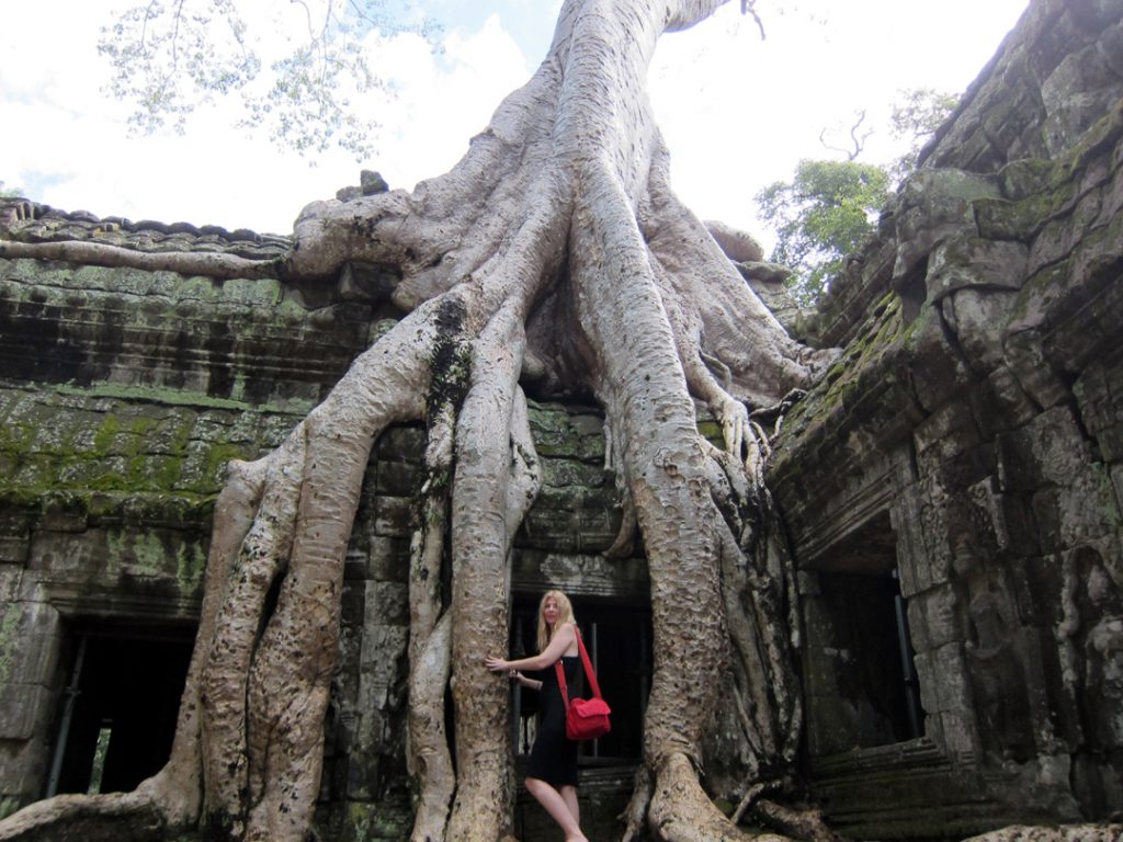 Between the tree roots at Ta Prohm in Cambodia.