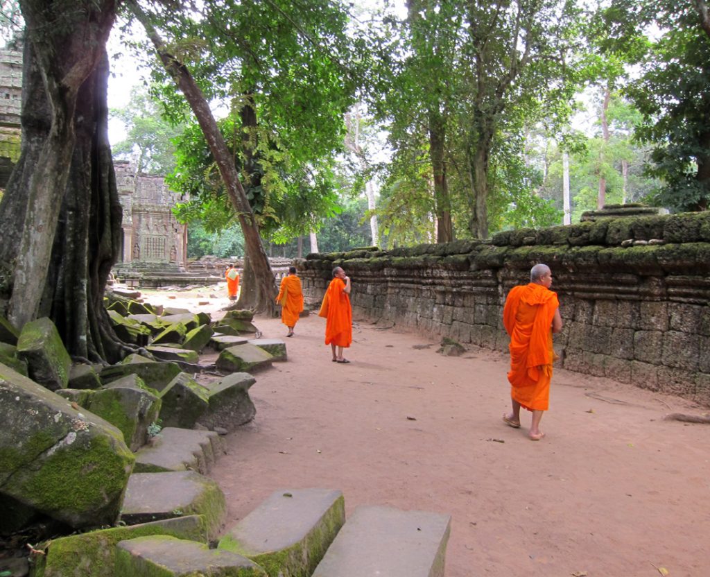 Monks in http://tree-alliance.org/our-restaurants/romdeng.php?mm=or&sm=rd