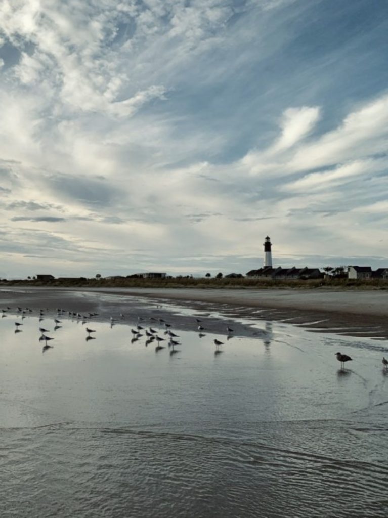 Birds in front of the lighthouse - Tybee. 