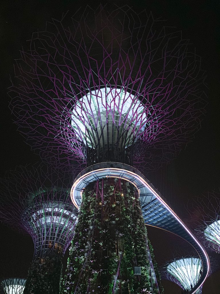 Gardens by the bay in Singapore