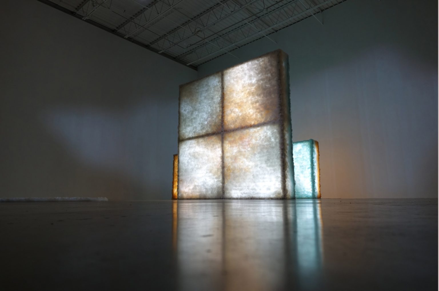 Bojana Ginn The Beauty of Art and Science Zest and Curiosity