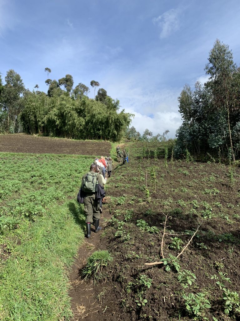 Trekking in Rwanda