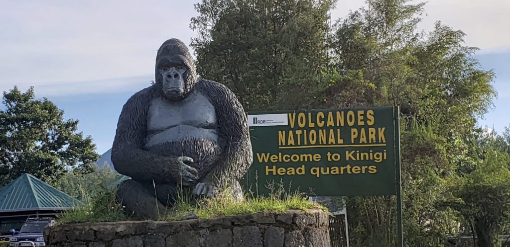 Volcanoes National Park, Rwanda