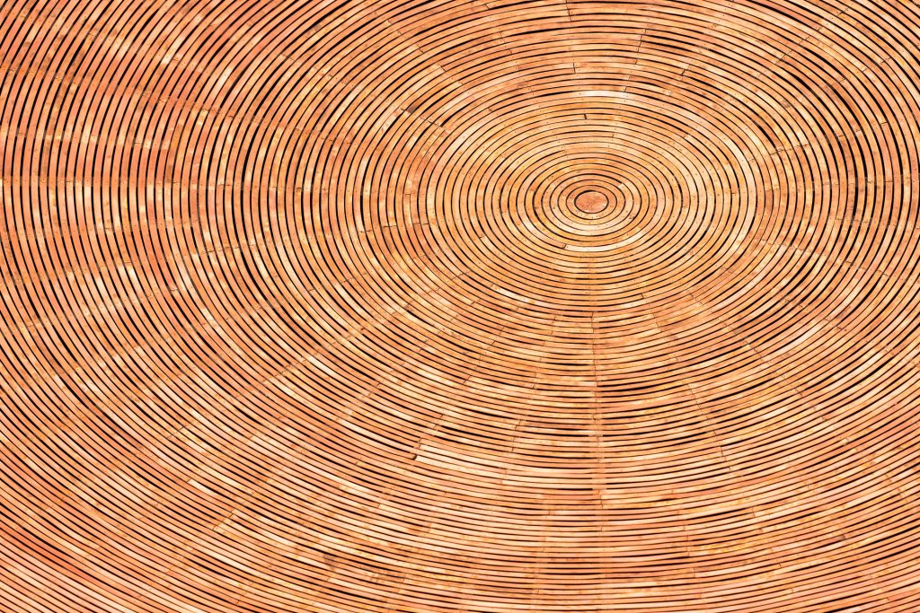 The copper roof of the Temppeliaukio Church The Rock Church

Photo by Sofie von Frenckell