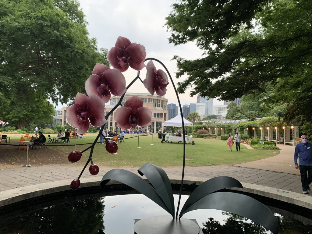 Glass orchid sculpture by Jason B. Gamrath in Atlanta Botanical Garden.