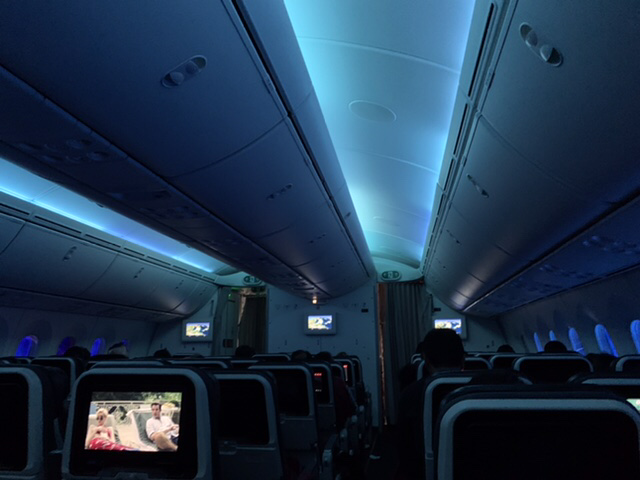 Travel in 2021 - Turkish airlines