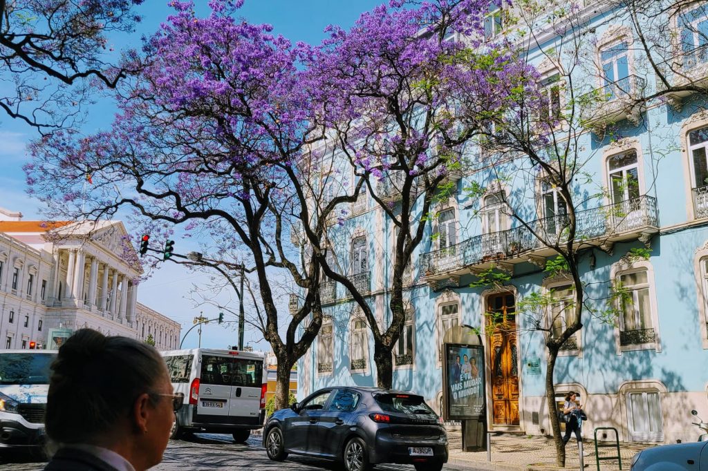 Springtime in Lisbon.